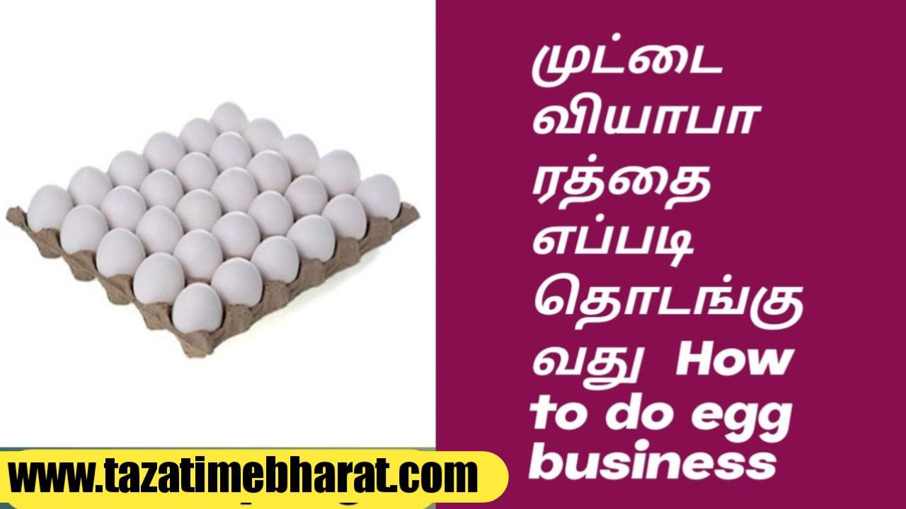 How to do eggs business