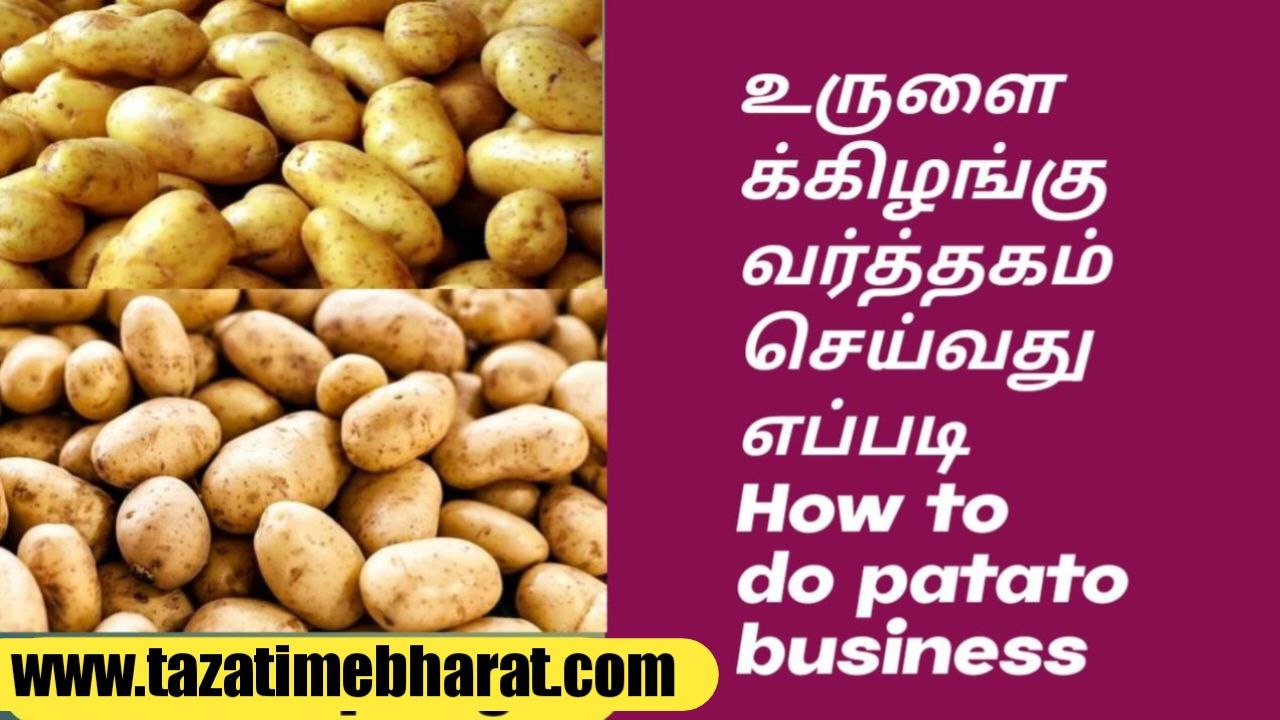 How to do potato business